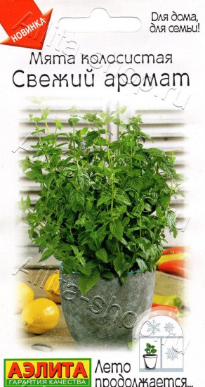 Семена мяты колосистой «Свежий аромат»