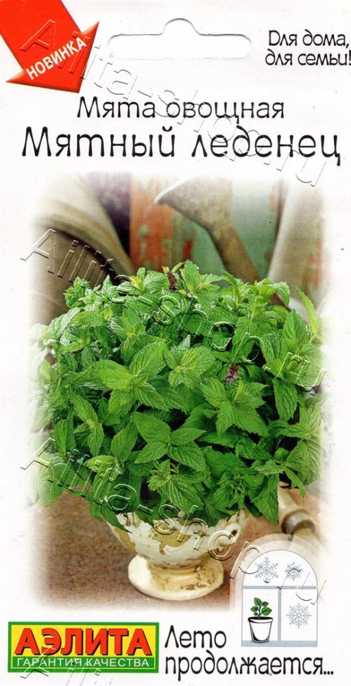 Семена мяты овощной «Мятный леденец» | Аэлита