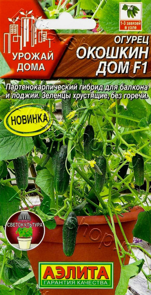 Огурец «Окошкин дом F1» | Урожай дома | Аэлита