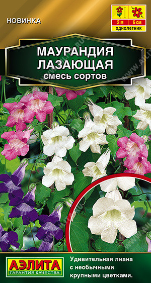 Семена маурандии лазающей, смесь | Золотая серия | Аэлита