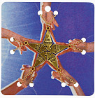 золотистый