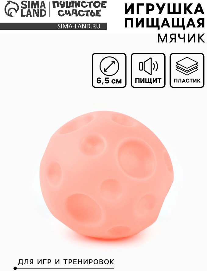 Игрушка для собак «Мячик планета» | Пушистое счастье