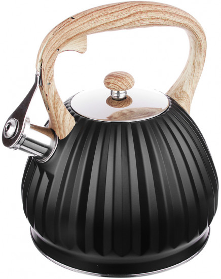 Чайник «Винзен»