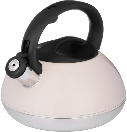 Чайник «Роншан»