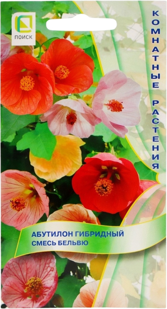 Абутилон гибридный «Бельвю» | Поиск