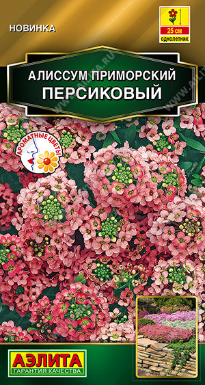 Семена алиссума приморского «Персиковый» | Золотая серия | Аэлита