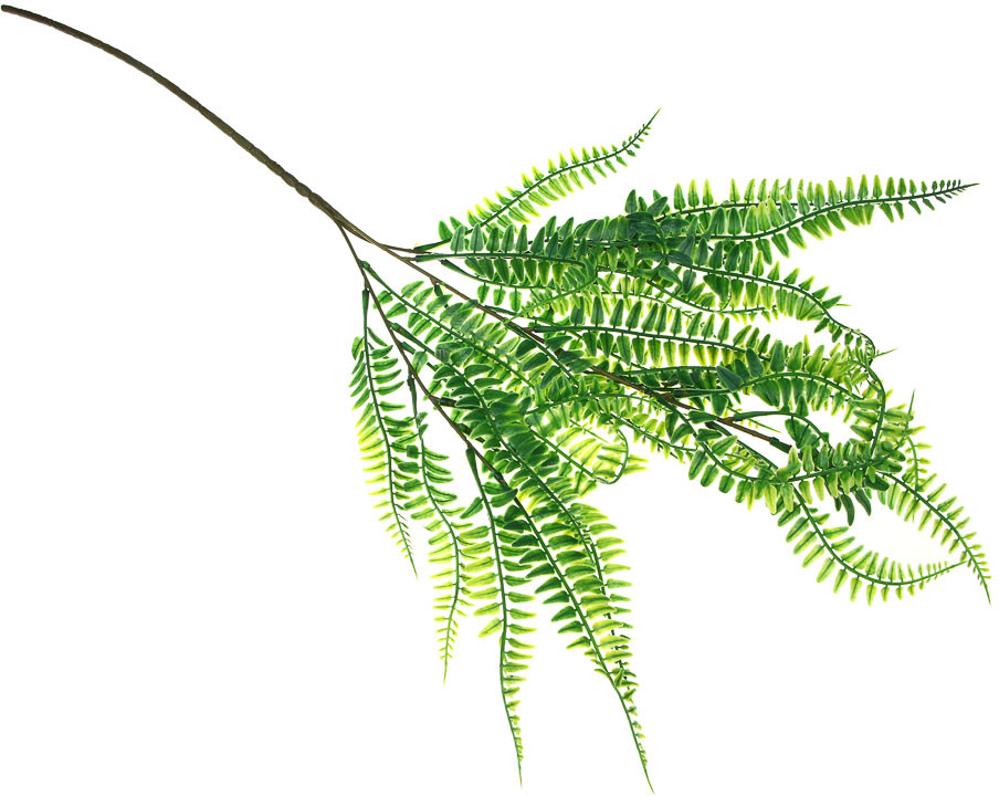 Цветок искусственный «Папоротник» | Ladecor