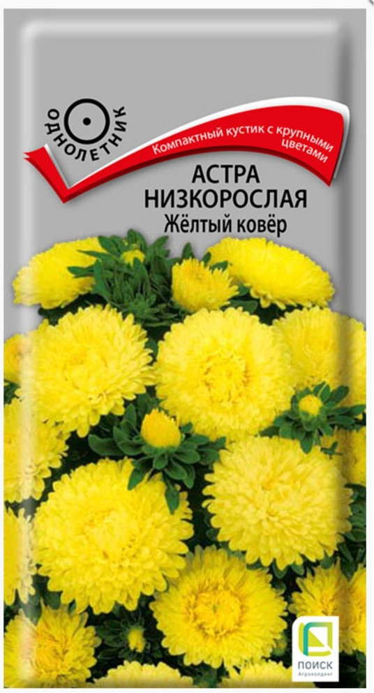 Семана астры низкорослой махровой «Желтый ковер» | Поиск