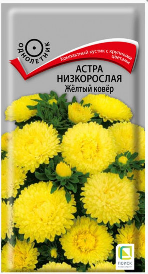 Семана астры низкорослой махровой «Желтый ковер»
