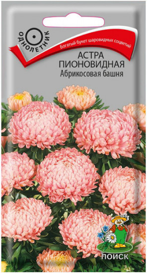Семена астры пионовидной «Абрикосовая башня»