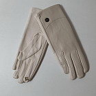 молочный молочный