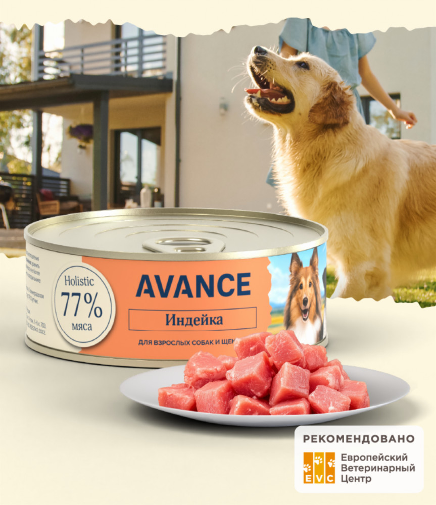 Консервы для собак и щенков с индейкой «Natural&Healthy Turkey» | Avance