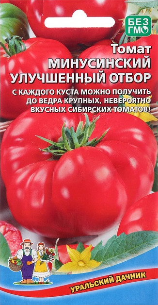 Семена томата «Минусинский улучшенный отбор» | Уральский дачник