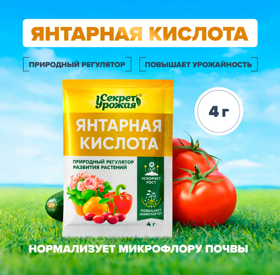 Янтарная кислота | Секрет урожая