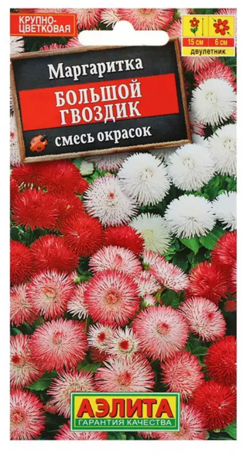 Маргаритка «Большой гвоздик» | Аэлита