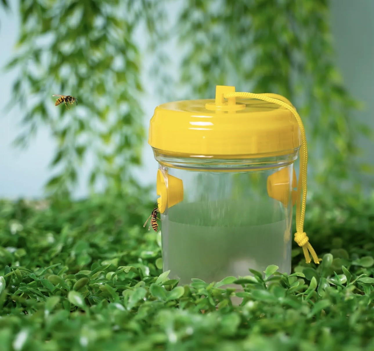 Ловушка для ос | Greenart