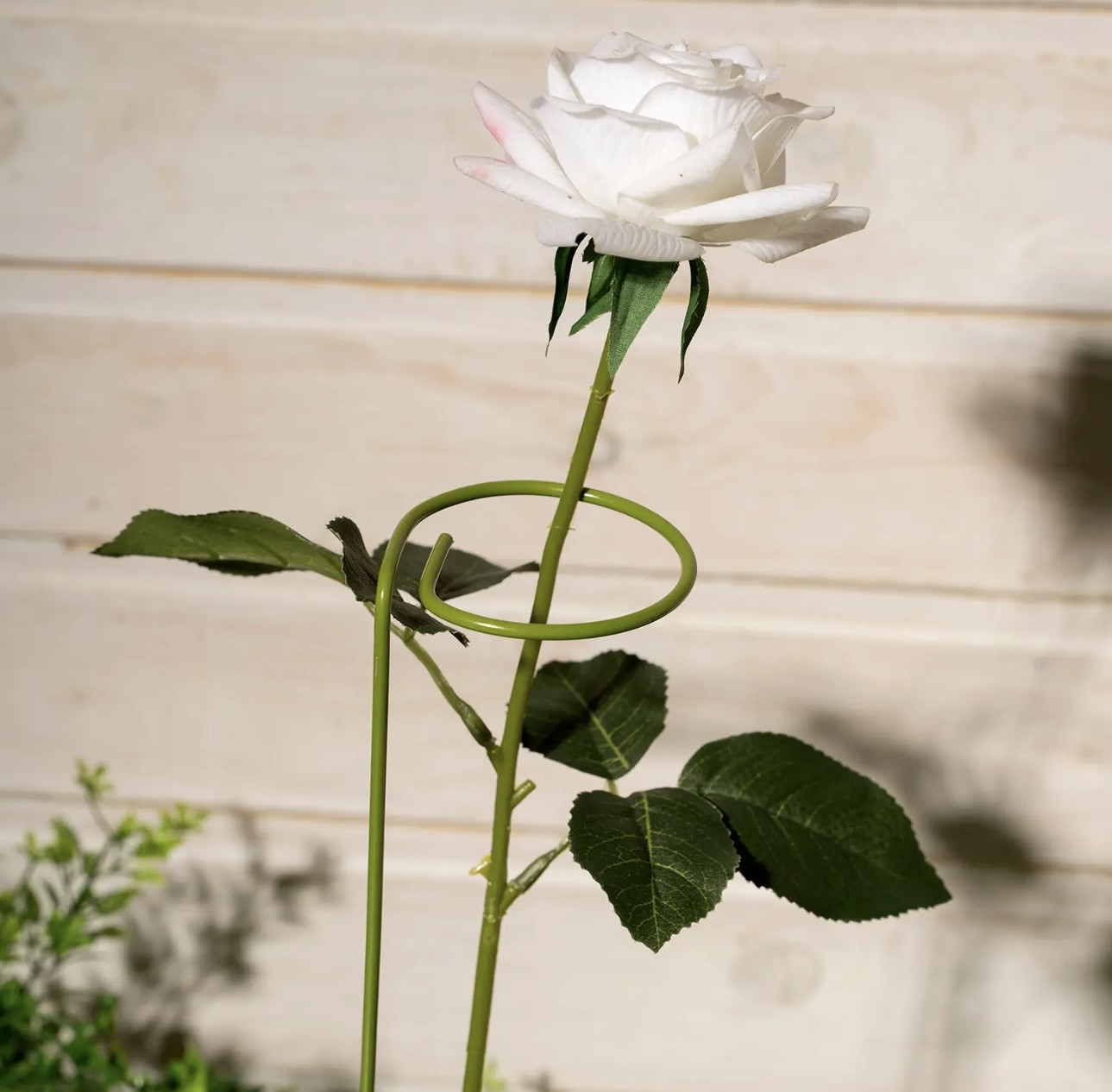 Набор опор для растений | Greenart