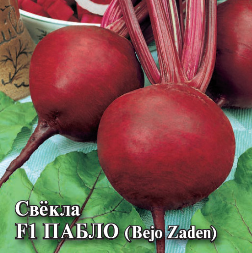 Семена свеклы столовой «Пабло F1»