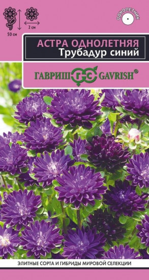 Семена астры «Трубадур синий»