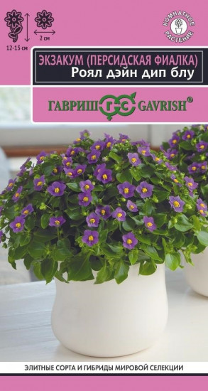 Семена экзакума «Роял дэйн дип блю»