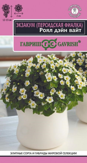 Семена экзакума «Роял дэйн вайт»