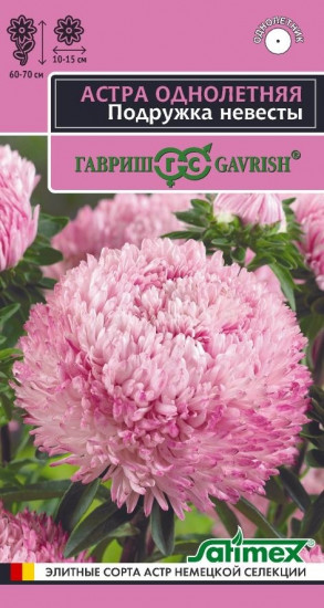 Семена астры «Подружка невесты»