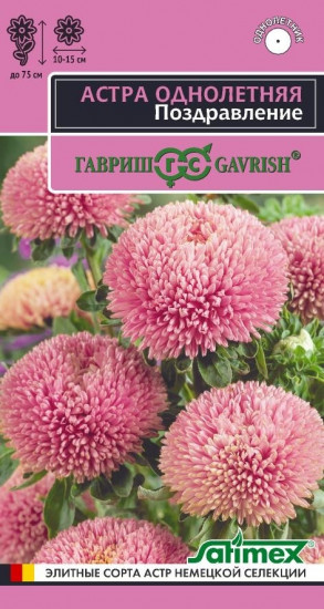 Семена астры «Поздравление»