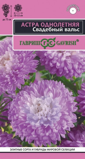 Семена астры «Свадебный вальс»