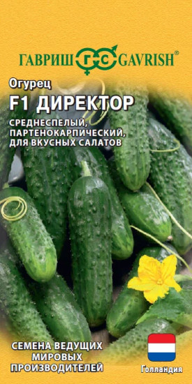 Семена. Огурец «Директор F1»