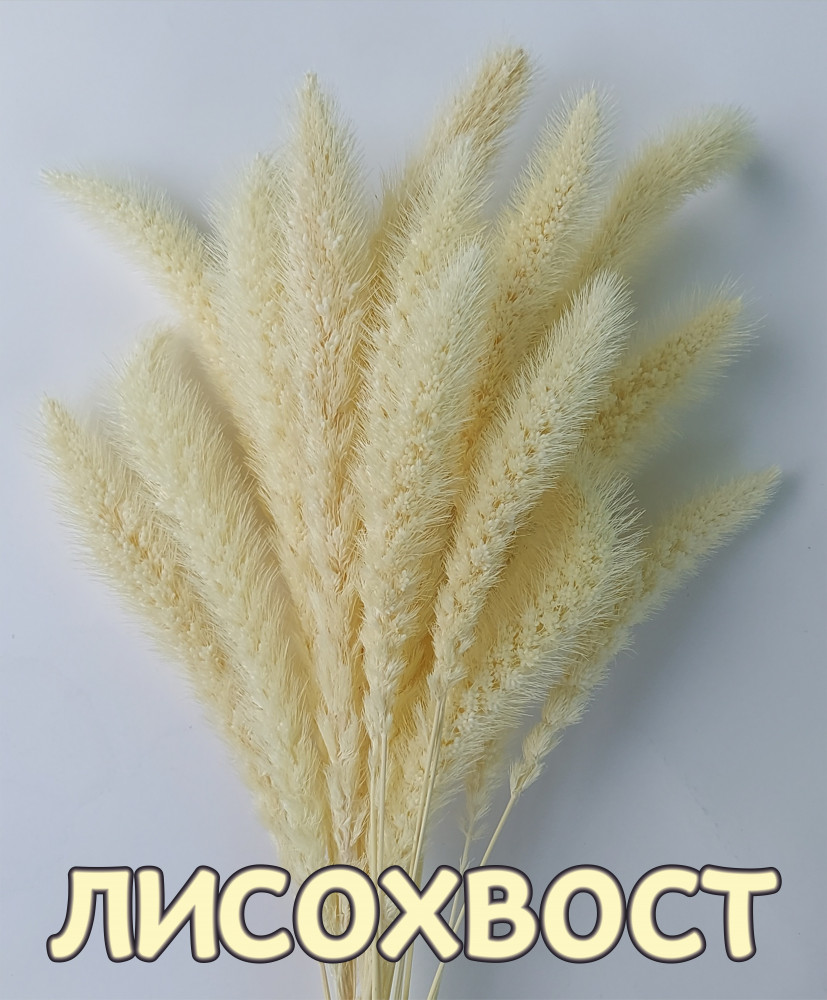 Набор сухоцветов «Лисохвост»