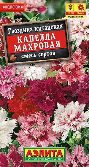 Семена гвоздики «Капелла махровая китайская» | Аэлита