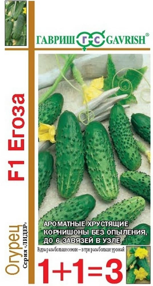 Семена огурца «Егоза F1» | Гавриш