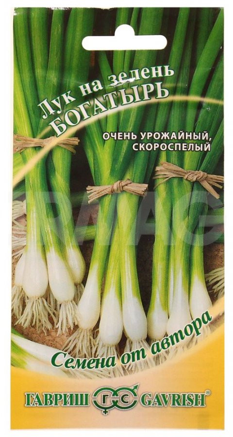 Семена лука батун «Богатырь» | Гавриш