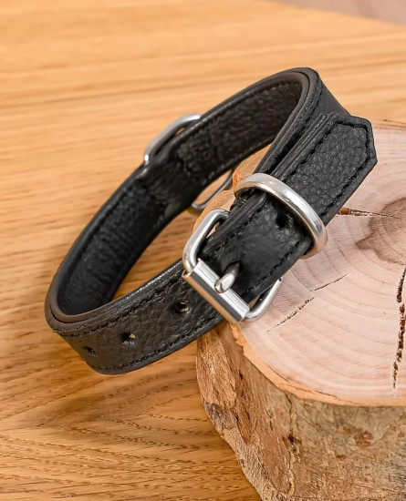 Ошейник для собак