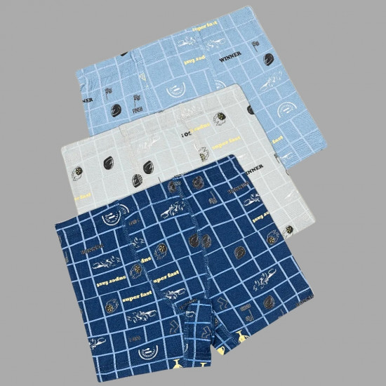 Комплект трусов для мальчиков