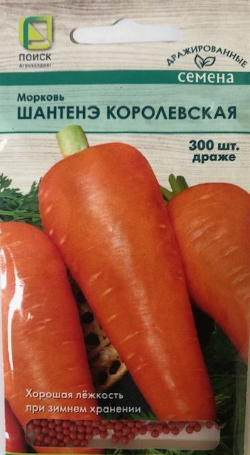 Семена моркови «Шантенэ королевская» | Поиск