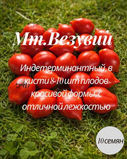 Семена коллекционные томата «Мт. Везувий»