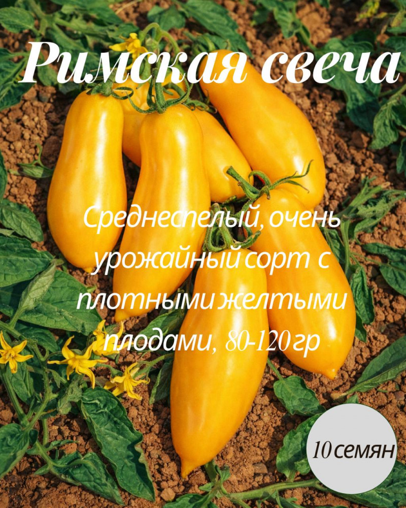 Семена коллекционные томата «Римская свеча» | Mevsim