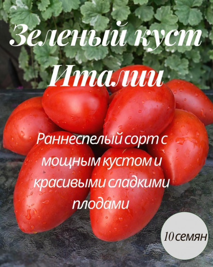 Коллекционные семена томата «Зеленый куст Италии»