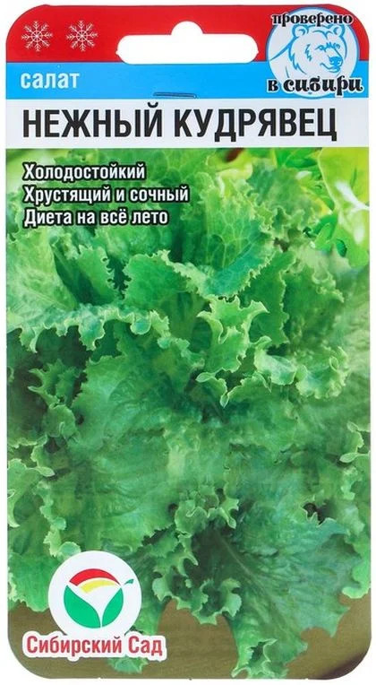 Семена салата листового «Нежный кудрявец» | Сибирский Сад