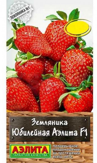 Земляника «Юбилейная»