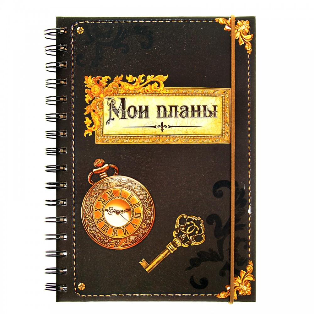 Ежедневник «Мои планы» 96 листов