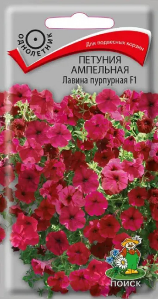 Петуния ампельная «Лавина пурпурная F1» | Поиск