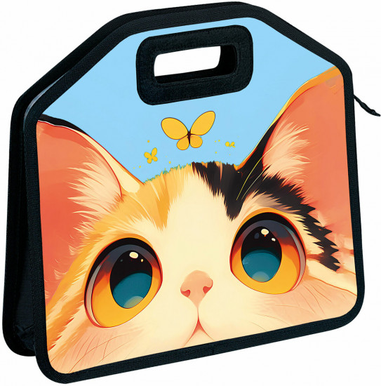 Папка-сумка