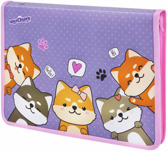 Папка для труда на молнии «Best fellows»