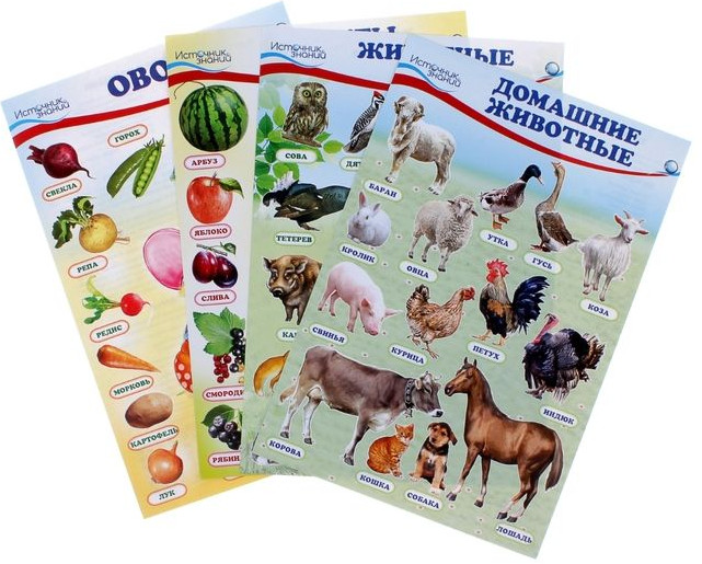 Комплект познавательных мини-плакатов. Домашние животные, лесные животные, фрукты и ягоды, овощи | Познавательные мини-плакаты