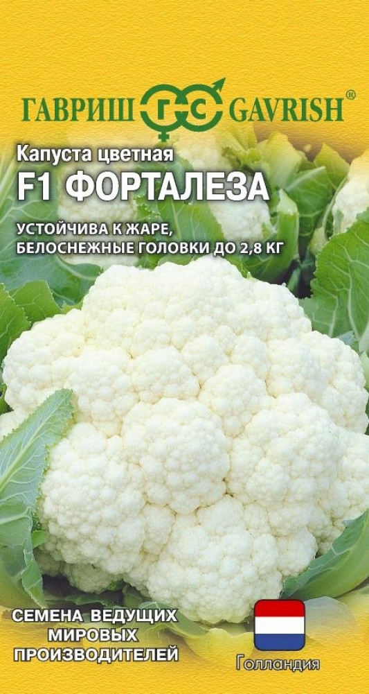 Семена капусты цветной «Форталеза F1 Н26» | Семена ведущих мировых производителей | Гавриш