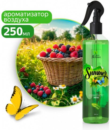 Ароматизатор воздуха «Лето»