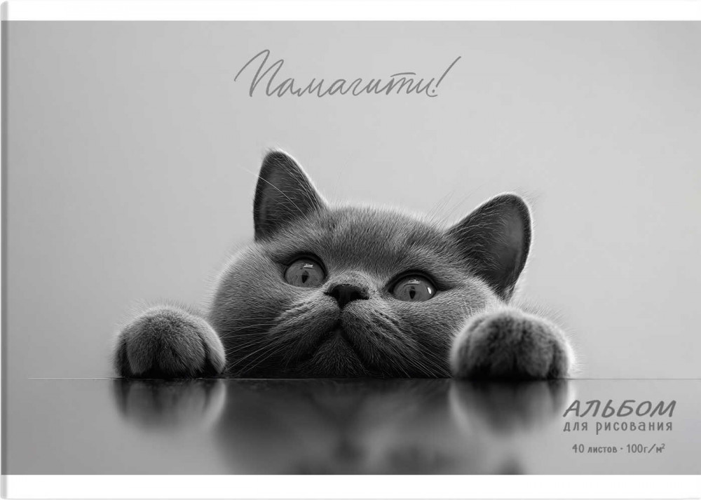 Альбом для рисования «Британский кот» | Монохромные коты | Феникс +
