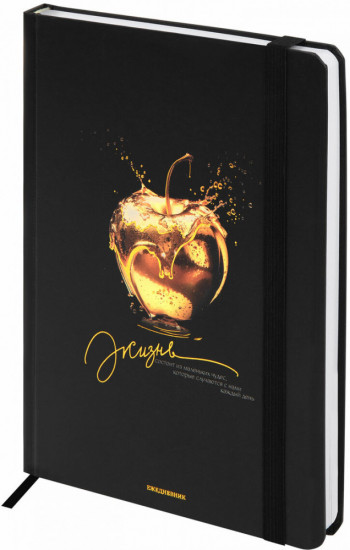 Ежедневник